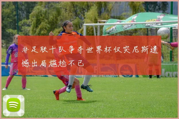 非足联十队争夺世界杯仅突尼斯遗憾出局尴尬不已