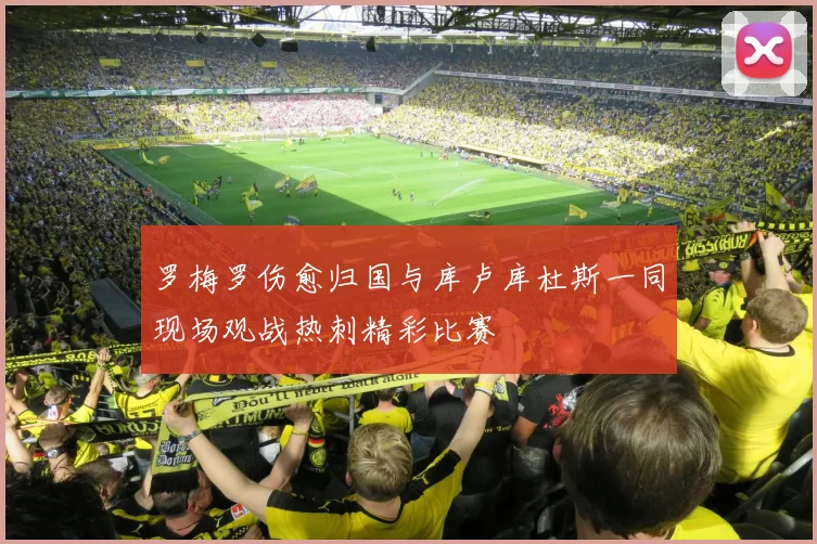 罗梅罗伤愈归国与库卢库杜斯一同现场观战热刺精彩比赛